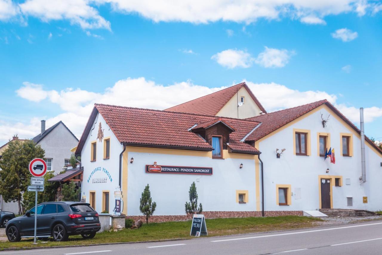 Penzion Samorost Jarosov nad Nezarkou Extérieur photo