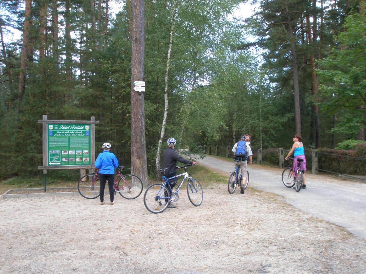 Penzion Samorost Jarosov nad Nezarkou Extérieur photo
